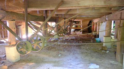 under the floor of the sawmill, pullies and belts used to move/power various machinary