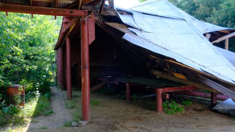 Photo from MNRF SawMill (2024)