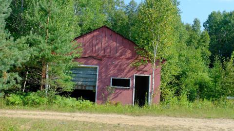 Photo from MNRF SawMill (2024)