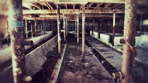  March 2012 - The-Randall-Farm33.jpg