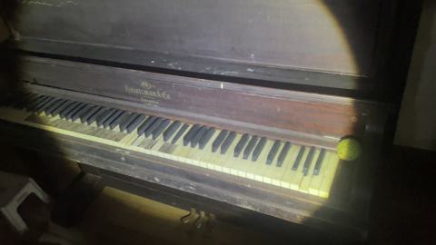 round 2 🏆 - IMG_5140.jpeg