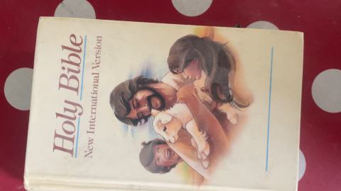 round 2 🏆 - IMG_5149.jpeg