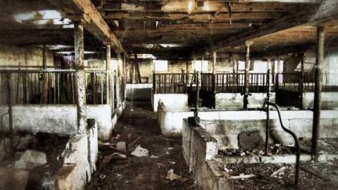  March 2012 - The-Randall-Farm36.jpg