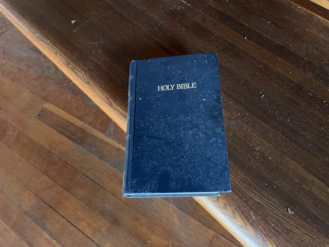 Crack Beaver - IMG_9135.jpg