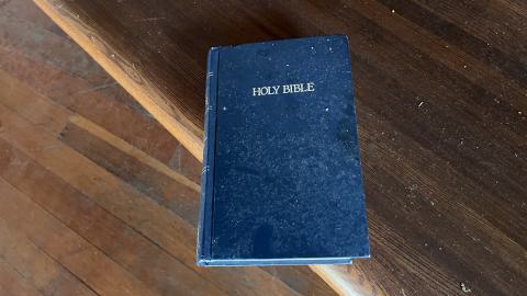 Crack Beaver - IMG_9135.jpg