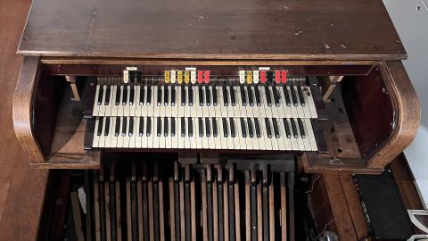 Crack Beaver - IMG_9144.jpg