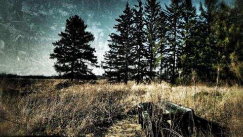 Photo from  March 2012