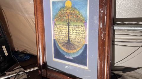 Crack Beaver - IMG_9171.jpg