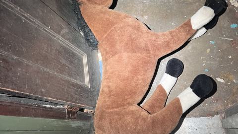 Crack Beaver - IMG_9180.jpg