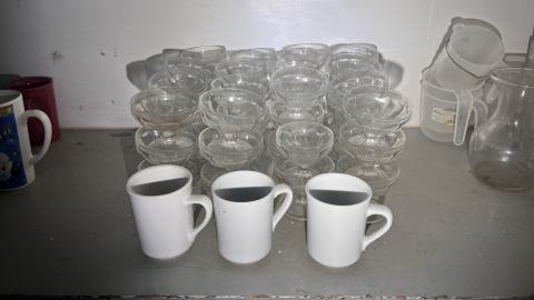 Crack Beaver - IMG_9191.jpg