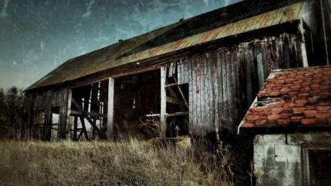  March 2012 - The-Randall-Farm40.jpg