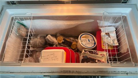 Crack Beaver - IMG_9186.jpg