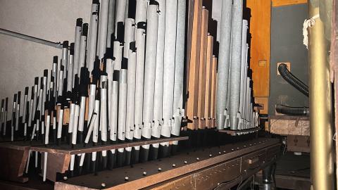 Crack Beaver - IMG_9226.jpg