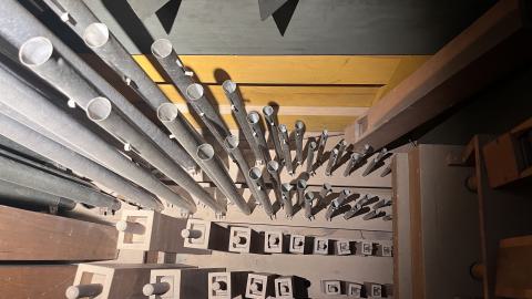 Crack Beaver - IMG_9229.jpg