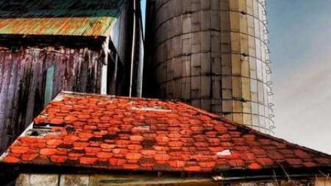  March 2012 - The-Randall-Farm41.jpg