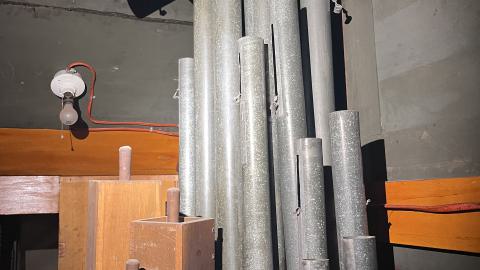 Crack Beaver - IMG_9230.jpg