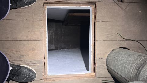 Crack Beaver - IMG_9235.jpg