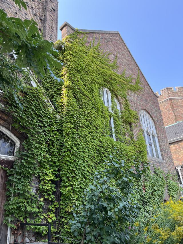 Crack Beaver - IMG_9247.jpg