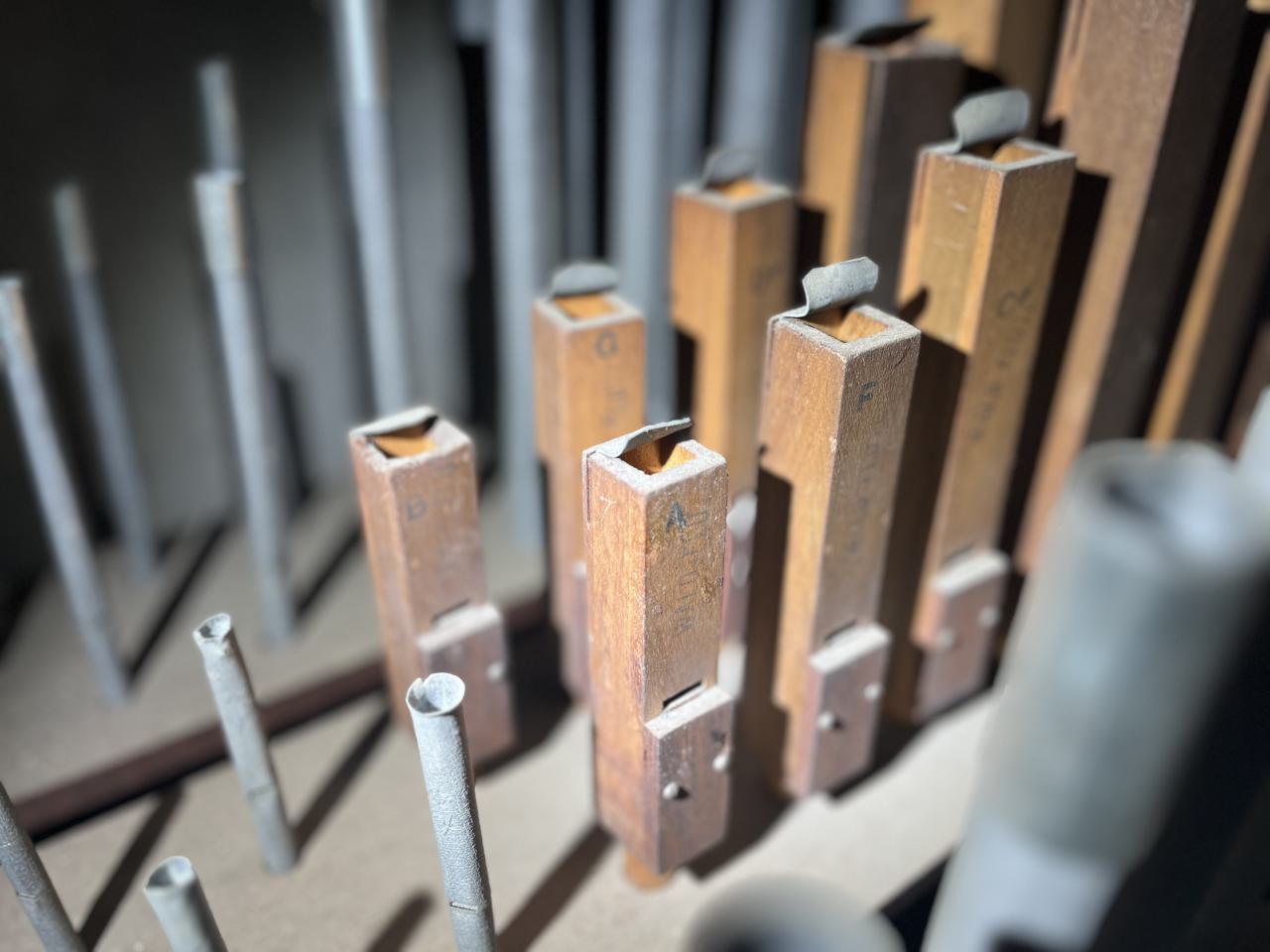 Crack Beaver - IMG_9222.jpg