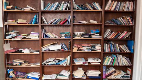 Crack Beaver - IMG_9169.jpg