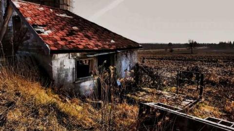  March 2012 - The-Randall-Farm42.jpg