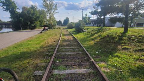 Lots Of Druggies - 20240914_161510.jpg