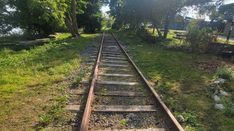 Lots Of Druggies - 20240914_161405.jpg