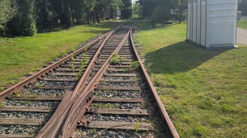 Lots Of Druggies - 20240914_161309.jpg