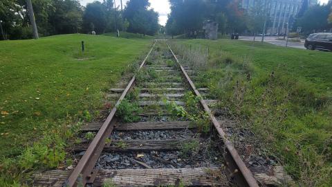 Lots Of Druggies - 20240914_160928.jpg