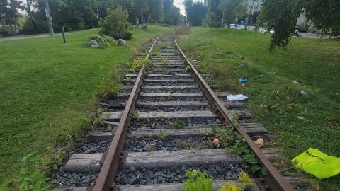 Lots Of Druggies - 20240914_160852.jpg