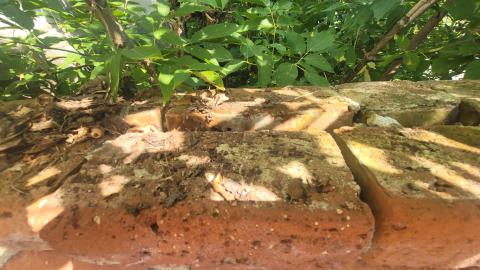 Something Id Expect To See In Europe - 20240914_144132.jpg