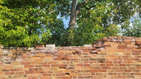 Something Id Expect To See In Europe - 20240914_144105.jpg