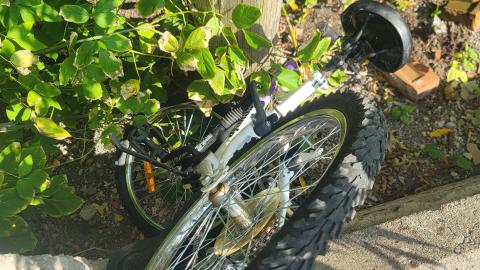 Something Id Expect To See In Europe - 20240914_144021.jpg