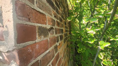 Something Id Expect To See In Europe - 20240914_144011.jpg