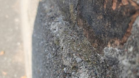 Something Id Expect To See In Europe - 20240914_143942.jpg