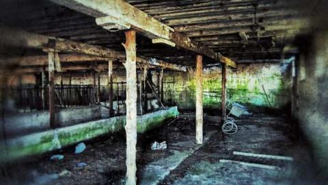  March 2012 - The-Randall-Farm47.jpg