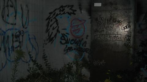 Photo from Hyde Mill Ruins Sept 2024