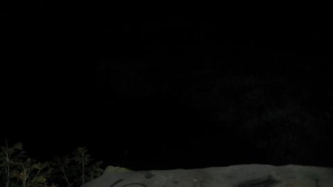 Photo from Hyde Mill Ruins Sept 2024