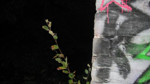 another picture of lookout