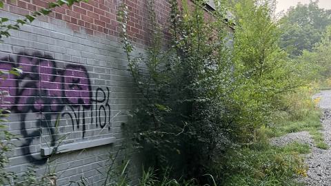 daytime view of the mill