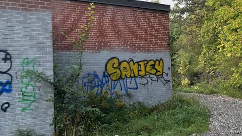 Photo from Hyde Mill Ruins Sept 2024