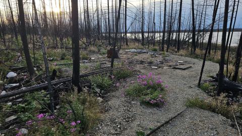 What remains - 20240918_182921.jpg