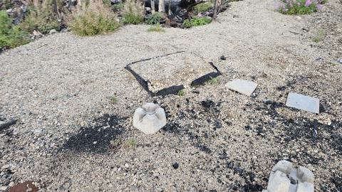 What remains - 20240918_182940.jpg