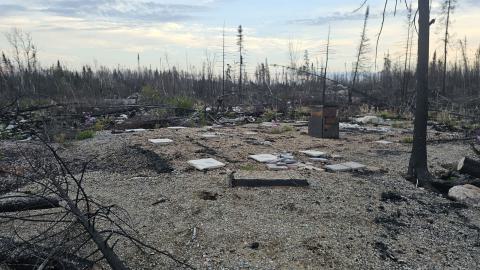 What remains - 20240918_185259(0).jpg