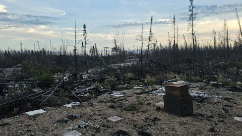 What remains - 20240918_185305.jpg