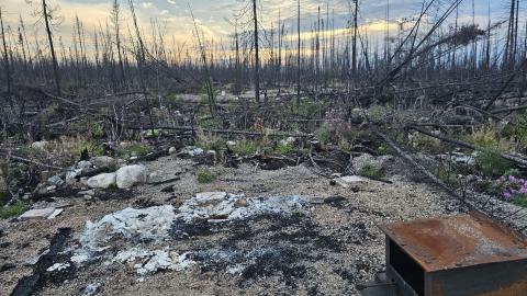 What remains - 20240918_185310.jpg