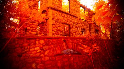 Photo from Digital Infrared Shots