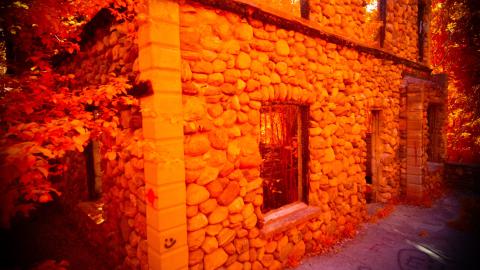 Photo from Digital Infrared Shots