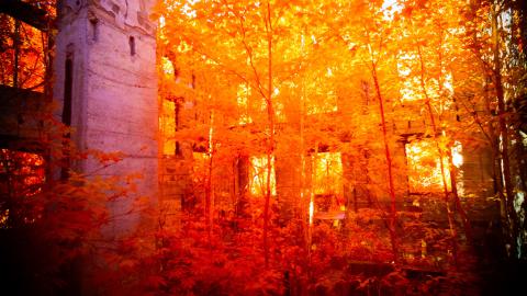 Photo from Digital Infrared Shots