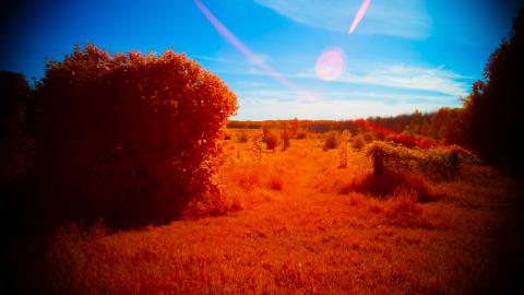 Digital Infrared Shots - DSCF2291.JPG